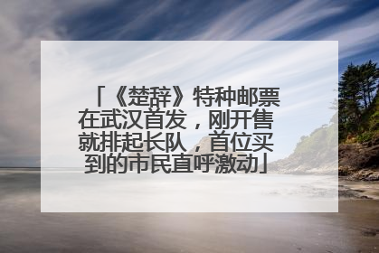 《楚辞》特种邮票在武汉首发，刚开售就排起长队，首位买到的市民直呼激动