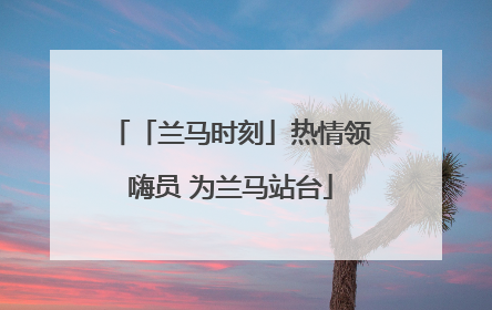 「兰马时刻」热情领嗨员 为兰马站台