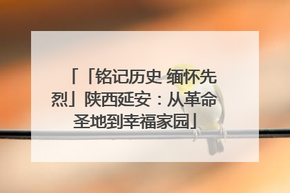 「铭记历史 缅怀先烈」陕西延安：从革命圣地到幸福家园