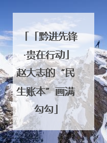 「黔进先锋·贵在行动」赵大志的“民生账本”画满勾勾