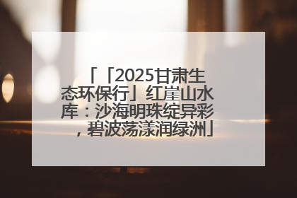 「2025甘肃生态环保行」红崖山水库：沙海明珠绽异彩，碧波荡漾润绿洲