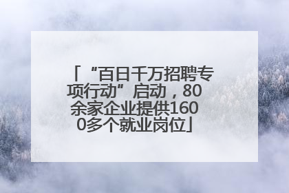 “百日千万招聘专项行动”启动，80余家企业提供1600多个就业岗位