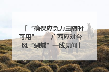 “确保应急力量随时可用”——广西应对台风“蝴蝶”一线见闻