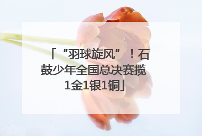 “羽球旋风”！石鼓少年全国总决赛揽1金1银1铜
