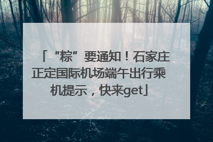 “粽”要通知！石家庄正定国际机场端午出行乘机提示，快来get