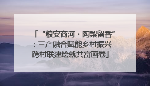 “粮安商河・陶梨留香”：三产融合赋能乡村振兴 跨村联建绘就共富画卷