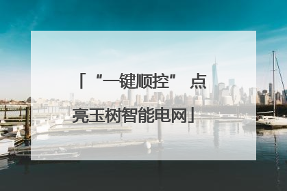 “一键顺控” 点亮玉树智能电网