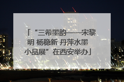 “三希墨韵——宋黎明 杨稳新 丹萍水墨小品展”在西安举办