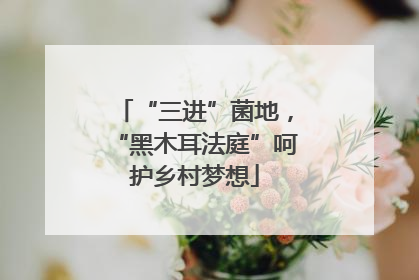 “三进”菌地，“黑木耳法庭”呵护乡村梦想