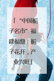 “中国栀子名市”福建福鼎：栀子花开，产业兴旺