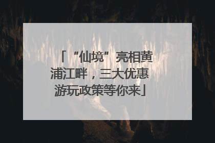 “仙境”亮相黄浦江畔，三大优惠游玩政策等你来