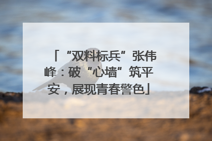 “双料标兵”张伟峰：破“心墙”筑平安，展现青春警色