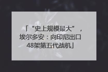“史上规模最大”，埃尔多安：向印尼出口48架第五代战机