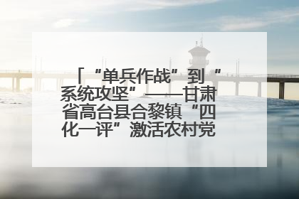 “单兵作战”到“系统攻坚”——甘肃省高台县合黎镇“四化一评”激活农村党员管理新引擎