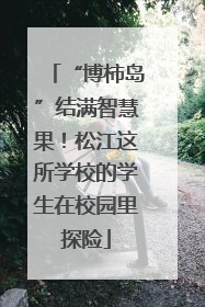 “博柿岛”结满智慧果！松江这所学校的学生在校园里探险