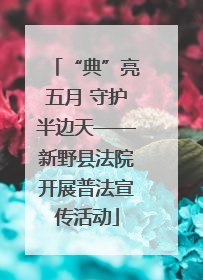 “典”亮五月 守护半边天——新野县法院开展普法宣传活动