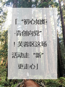 “初心如炬·青创向党”！芙蓉区这场活动走“新”更走心