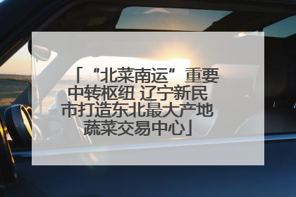 “北菜南运”重要中转枢纽 辽宁新民市打造东北最大产地蔬菜交易中心