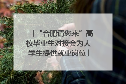 “合肥请您来”高校毕业生对接会为大学生提供就业岗位