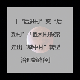 “后进村”变“后劲村”！胜利村探索走出“城中村”转型治理新路径