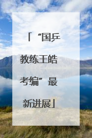 “国乒教练王皓考编”最新进展