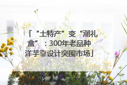 “土特产”变“潮礼盒”：300年老品种洋芋靠设计突围市场