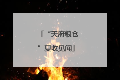 “天府粮仓”夏收见闻
