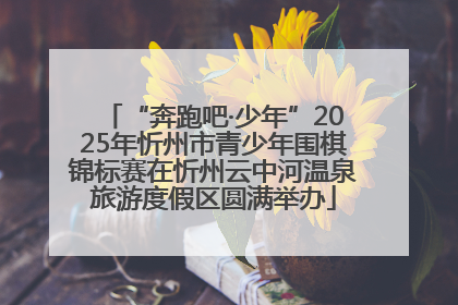 “奔跑吧·少年”2025年忻州市青少年围棋锦标赛在忻州云中河温泉旅游度假区圆满举办