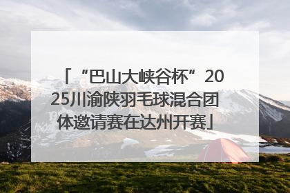 “巴山大峡谷杯”2025川渝陕羽毛球混合团体邀请赛在达州开赛