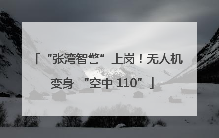 “张湾智警”上岗！无人机变身 “空中 110”
