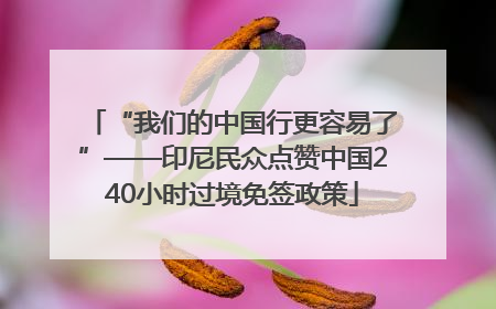 “我们的中国行更容易了”——印尼民众点赞中国240小时过境免签政策