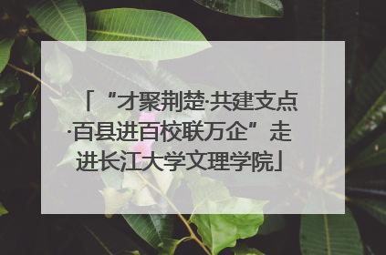 “才聚荆楚·共建支点·百县进百校联万企”走进长江大学文理学院