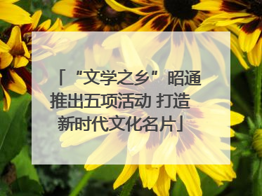 “文学之乡”昭通推出五项活动 打造新时代文化名片