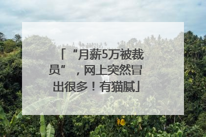 “月薪5万被裁员”，网上突然冒出很多！有猫腻