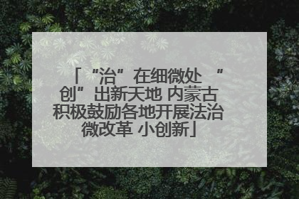 “治”在细微处 “创”出新天地 内蒙古积极鼓励各地开展法治微改革 小创新