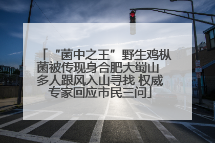 “菌中之王”野生鸡枞菌被传现身合肥大蜀山 多人跟风入山寻找 权威专家回应市民三问