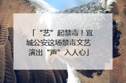 “艺”起禁毒！宜城公安这场禁毒文艺演出“声”入人心