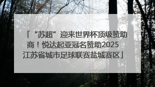 “苏超”迎来世界杯顶级赞助商！悦达起亚冠名赞助2025江苏省城市足球联赛盐城赛区