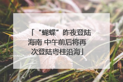 “蝴蝶”昨夜登陆海南 中午前后将再次登陆粤桂沿海