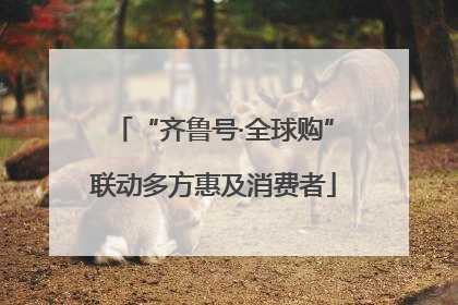 “齐鲁号·全球购”联动多方惠及消费者
