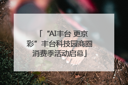 “AI丰台 更京彩”丰台科技园商圈消费季活动启幕