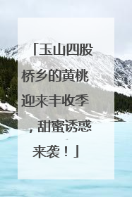 玉山四股桥乡的黄桃迎来丰收季，甜蜜诱惑来袭！