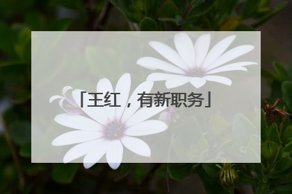 王红，有新职务