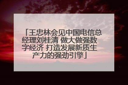 王忠林会见中国电信总经理刘桂清 做大做强数字经济 打造发展新质生产力的强劲引擎