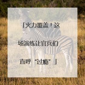 火力覆盖！这场演练让官兵们直呼“过瘾”
