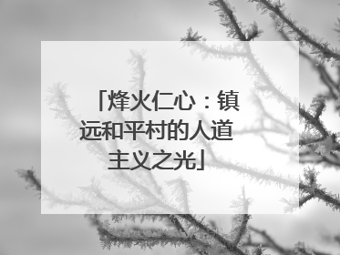 烽火仁心：镇远和平村的人道主义之光