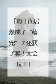 热干面居然成了“萌宠”？还获了奖！太会玩！