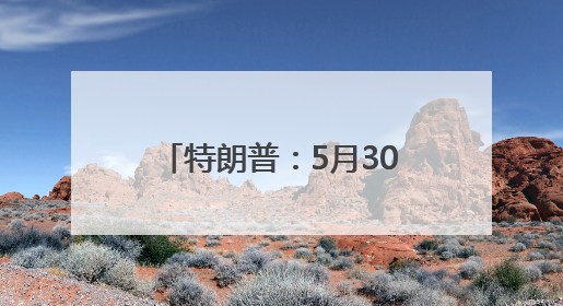 特朗普：5月30日将是马斯克在政府效率部最后一天