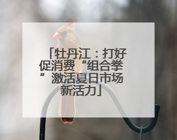 牡丹江：打好促消费“组合拳”激活夏日市场新活力