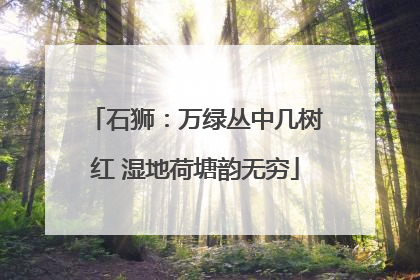 石狮：万绿丛中几树红 湿地荷塘韵无穷